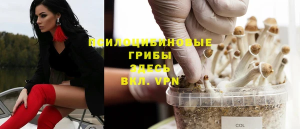 MESCALINE Богородск
