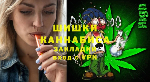 шишки Богданович