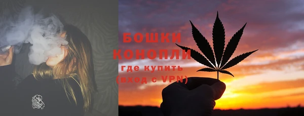 шишки Богданович