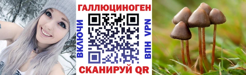 Псилоцибиновые грибы GOLDEN TEACHER  Кодинск 